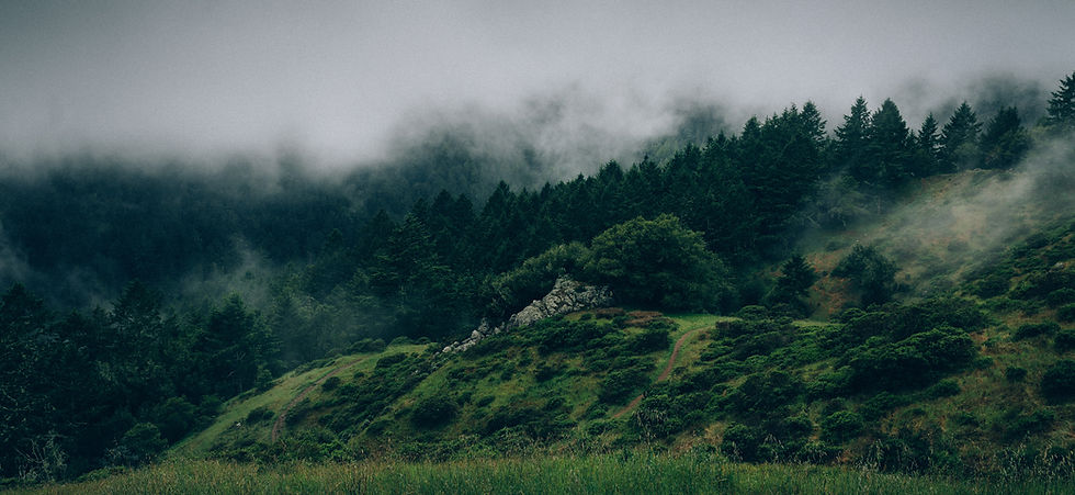 Paisaje La Oma